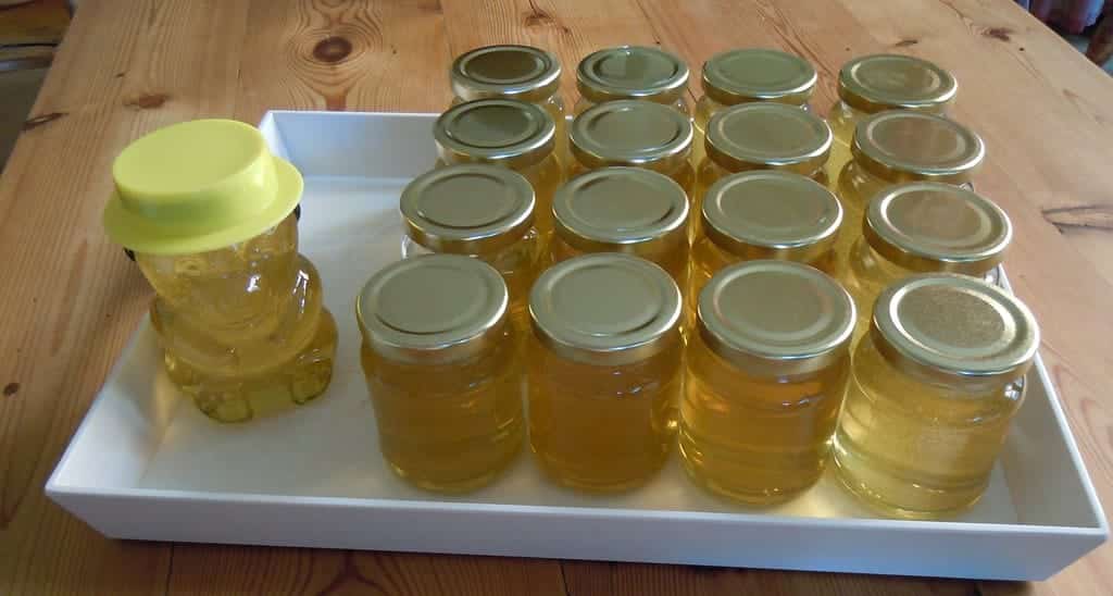 Honing En Gewichtsbeheersing