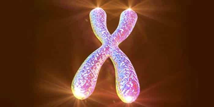telomeren