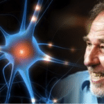 Bruce Liptons Geheim om Je Geest te Herprogrammeren