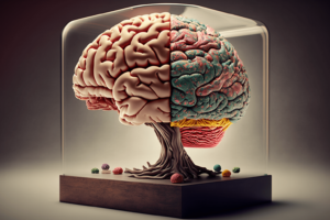 Meditatie en Wetenschappelijk Onderzoek