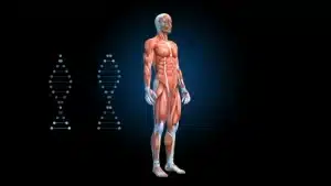 4 Verrassende Manieren om Spiergroei te Versnellen