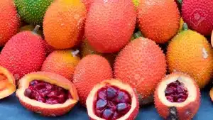 Gac Fruit