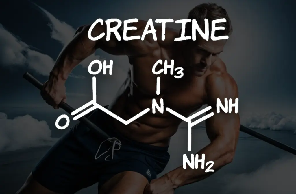 Alles over creatine