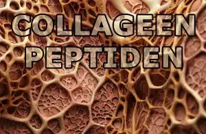 Anti-verouderingssupplement