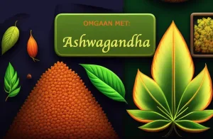 Goed omgaan met Ashwagandha