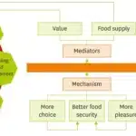 De Positieve Ontwikkeling van Voedselgeletterdheid bij Kinderen en Pubers