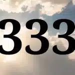 de getallen 111, 222 of 333