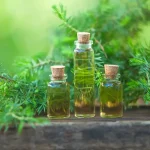 De Ultieme Gids voor Tea Tree Olie: Voordelen, Gebruik en Voorzorgsmaatregelen