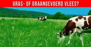Grasgevoerd versus Graangevoerd Rundvlees: Wat is Beter voor Je Gezondheid?