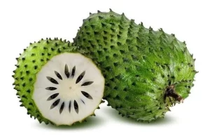 Soursop - De Zure Zuid-Amerikaanse Vrucht + 1 Heerlijk Soursop Smoothie Recept