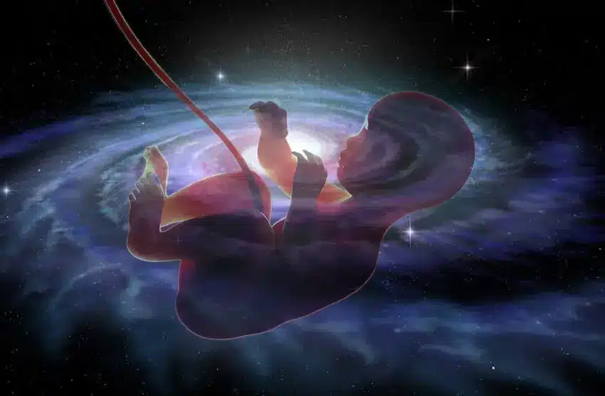 het Universum ontwaakt uit de droom die jij ooit was