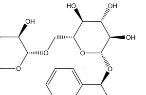 Kanker En Vitamine B17 Amygdalin – Alle Feiten Op Een Rij
