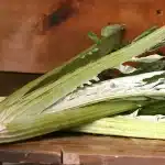 Kardoen - Artisjok-achtige groente met vlezige stengels + 3 recepten