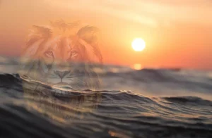 Krachtige affirmatie voor een nieuw zelfbeeld | Boost van zelfvertrouwen