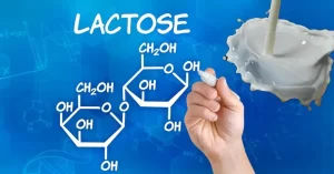 De Waarheid Achter Lactose