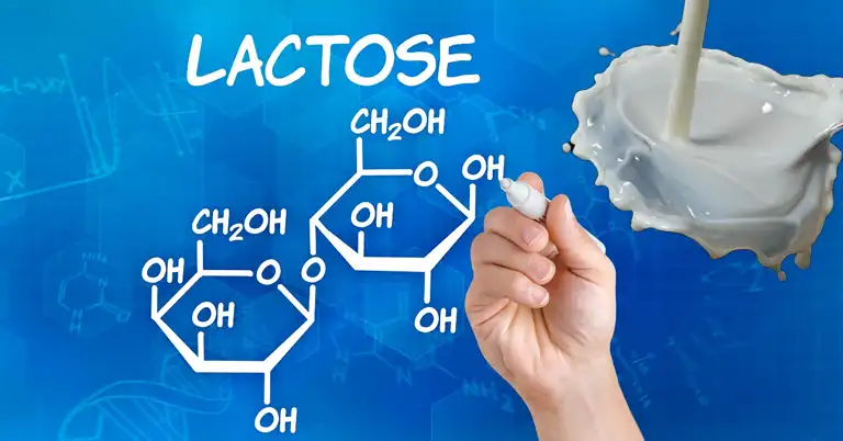 De Waarheid Achter Lactose