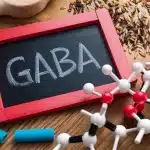 Gamma-aminoboterzuur GABA: Essentiële Neurotransmitter – Gebruik en Risico’s