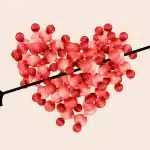 De impact van one night stands en casual sex op oxytocine bij vrouwen