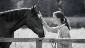 Ontdek de Magische Wereld van Paardentherapie