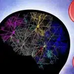 Zet De Juiste Frequentie Direct Als Eerste In De Ochtend De Komende 7 Dagen – Esther Hicks 2024