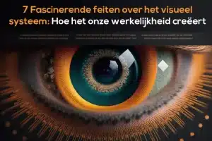 Visuele Systeem
