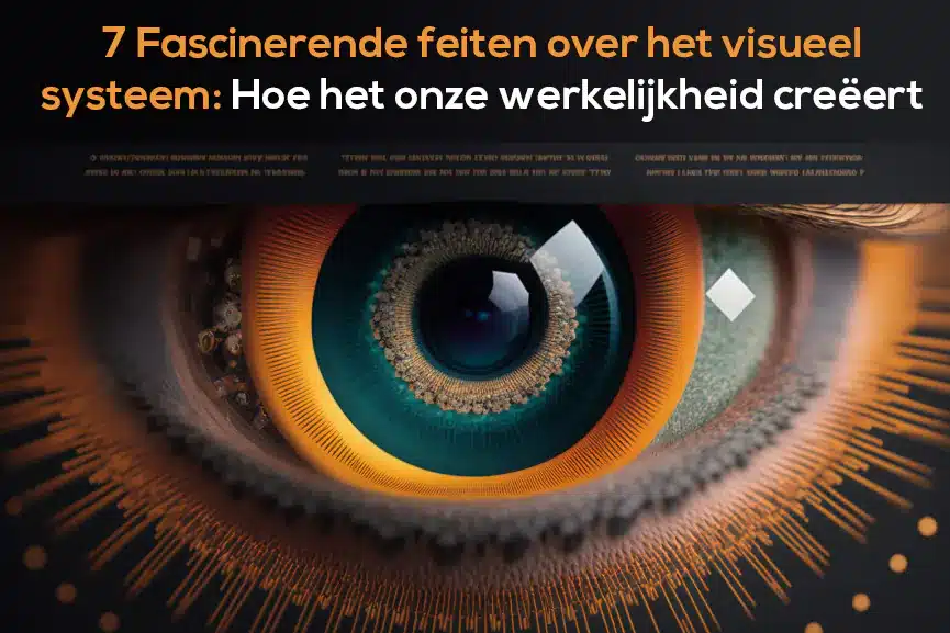 Visuele Systeem