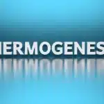 Waarom Het Thermogene Effect van Eiwitten Een Belangrijke Sleutel tot Gewichtsverlies Is