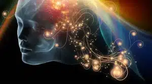 Wat Een 5-Jarige Wedstrijd Van 2 Bewustzijnstheorieën Echt Bewees